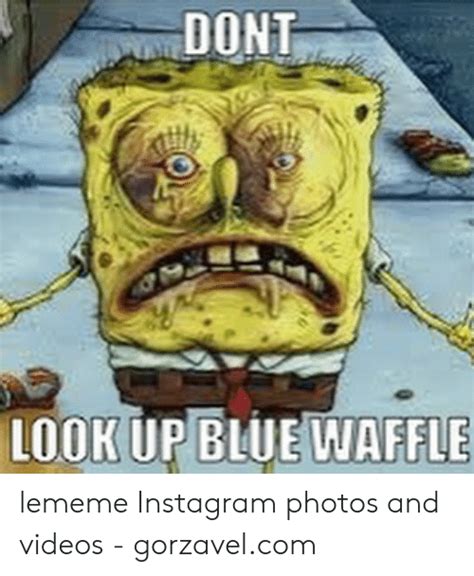 Blue waffle picture on instagram - Waffle ice cream cone with hyacinth flower in brightly lit on light blue background. Browse Getty Images’ premium collection of high-quality, authentic Images Of Blue Waffle stock photos, royalty-free images, and pictures. Images Of Blue Waffle stock photos are available in a variety of sizes and formats to fit your needs. 